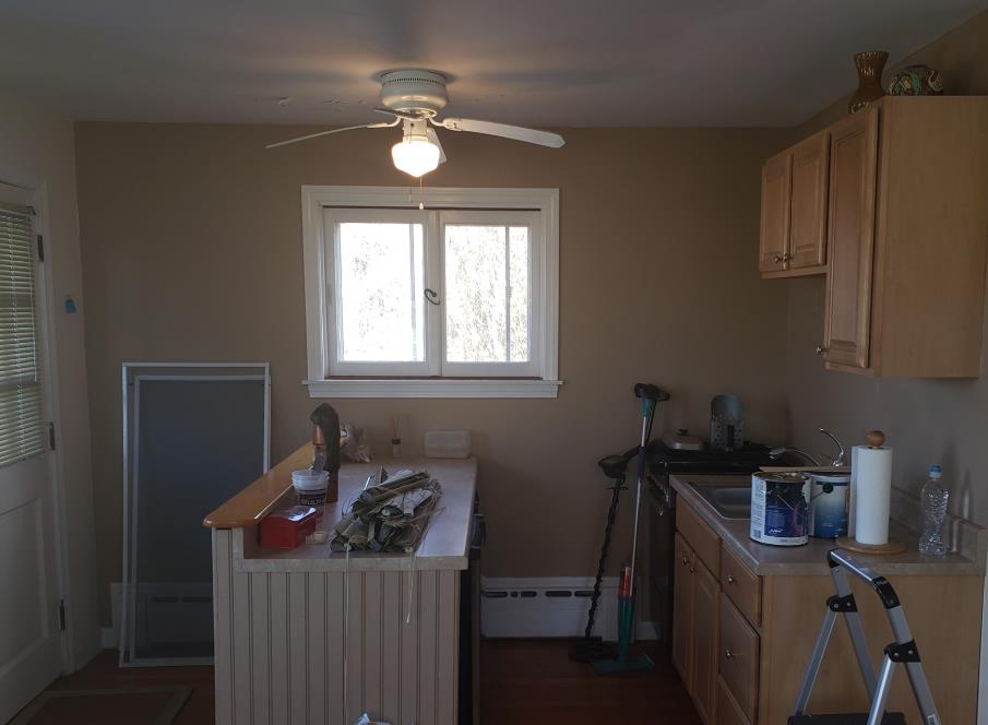 Pro Painting & Home Services