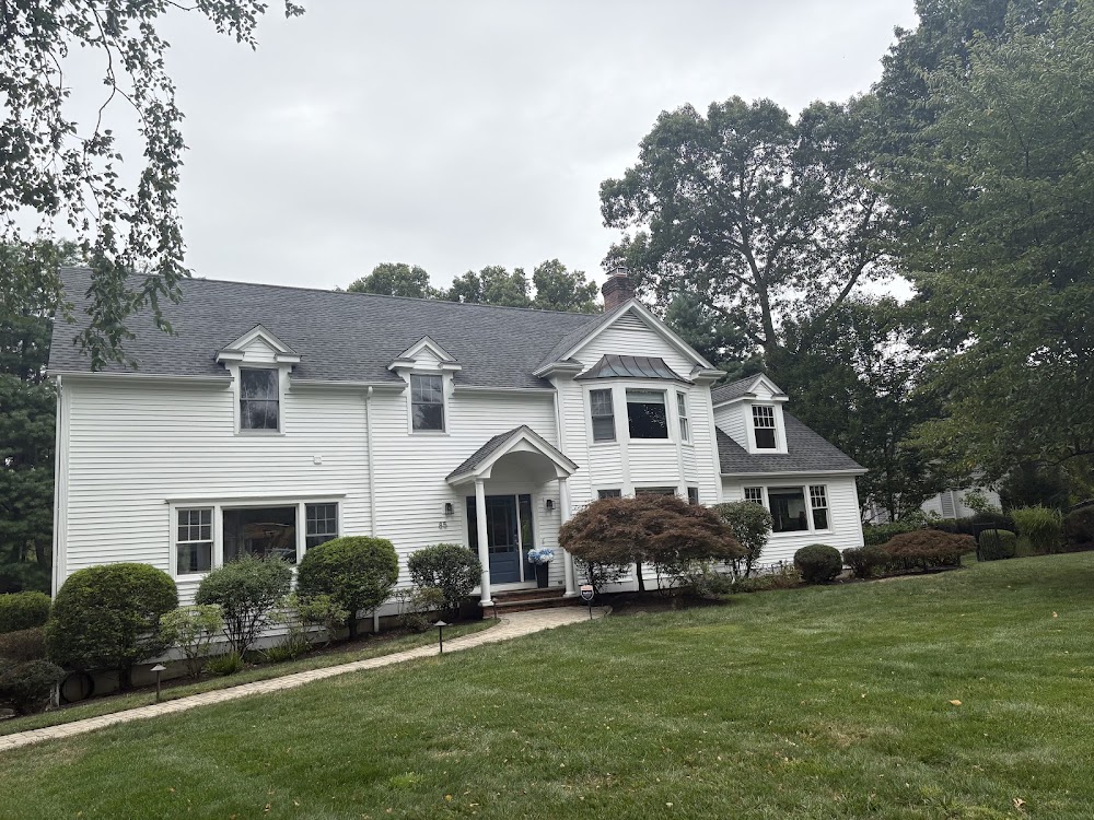 Sayayin Painting LLC