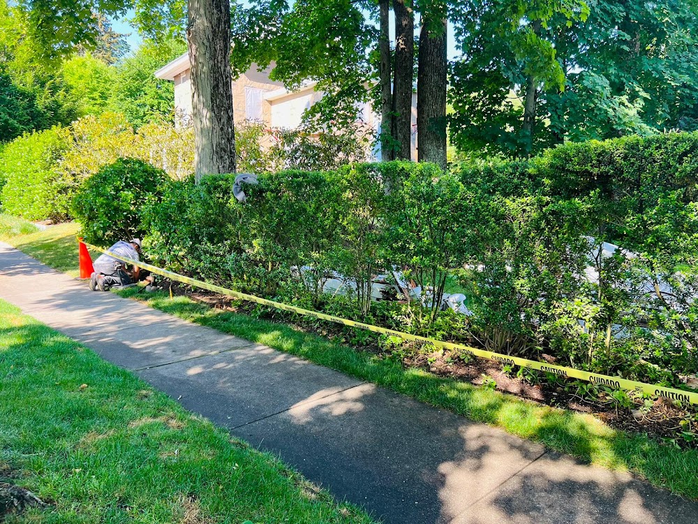 JM Painting Contractors LLC