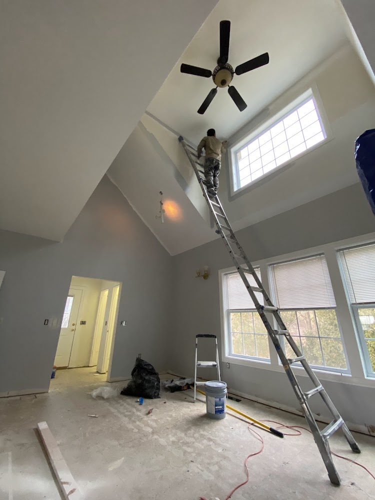 H&E Pro Painting