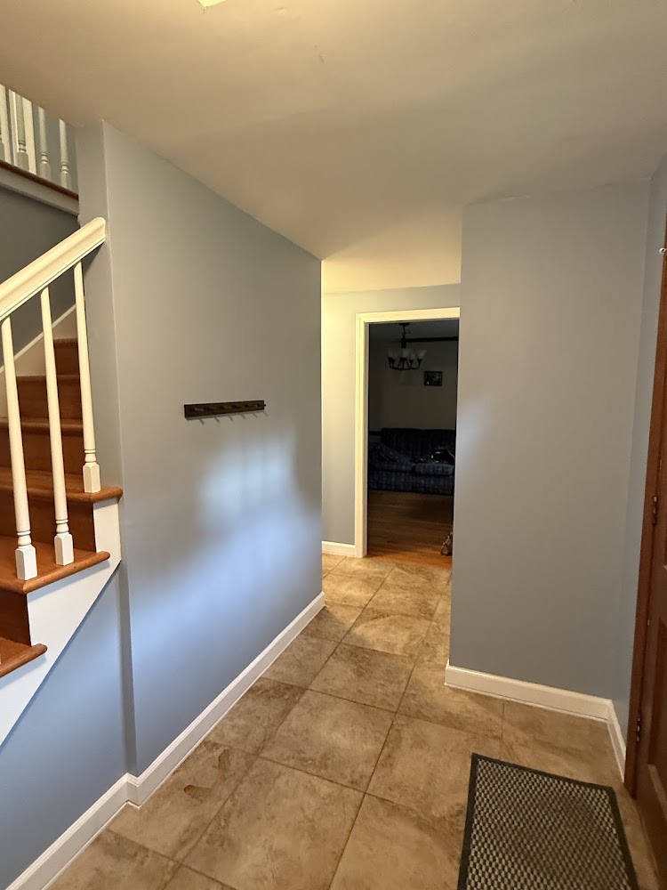 PremierRise Painting